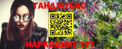 jwh Кингисепп