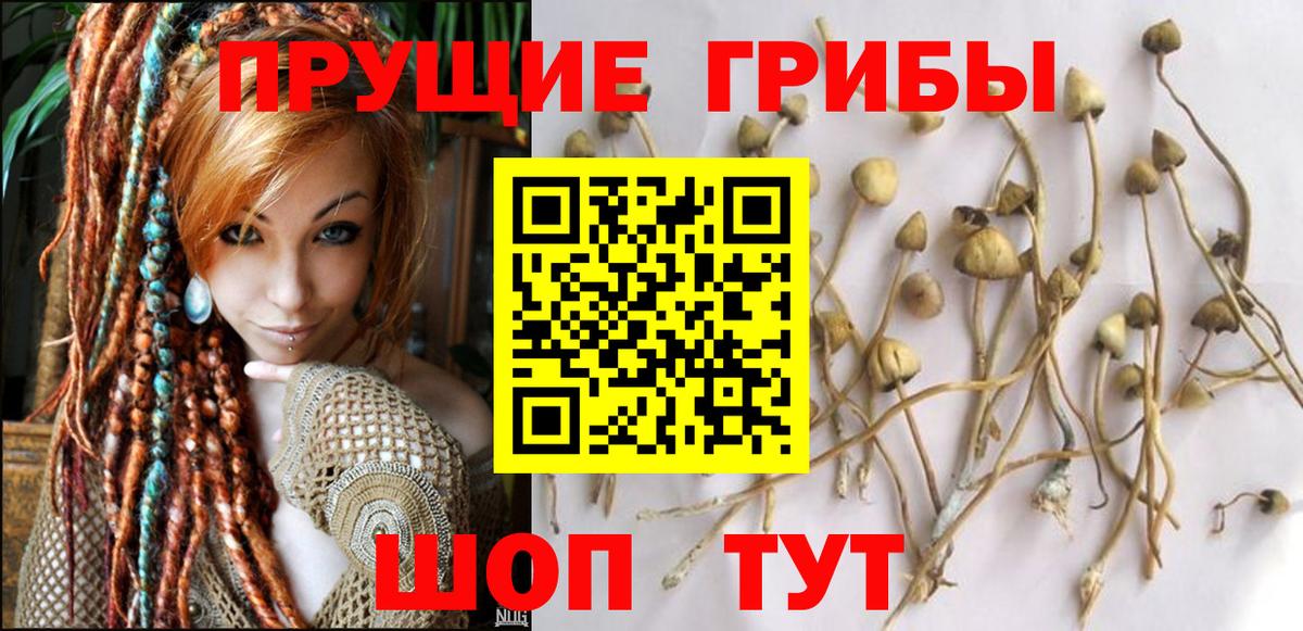 Галлюциногенные грибы прущие грибы Корсаков
