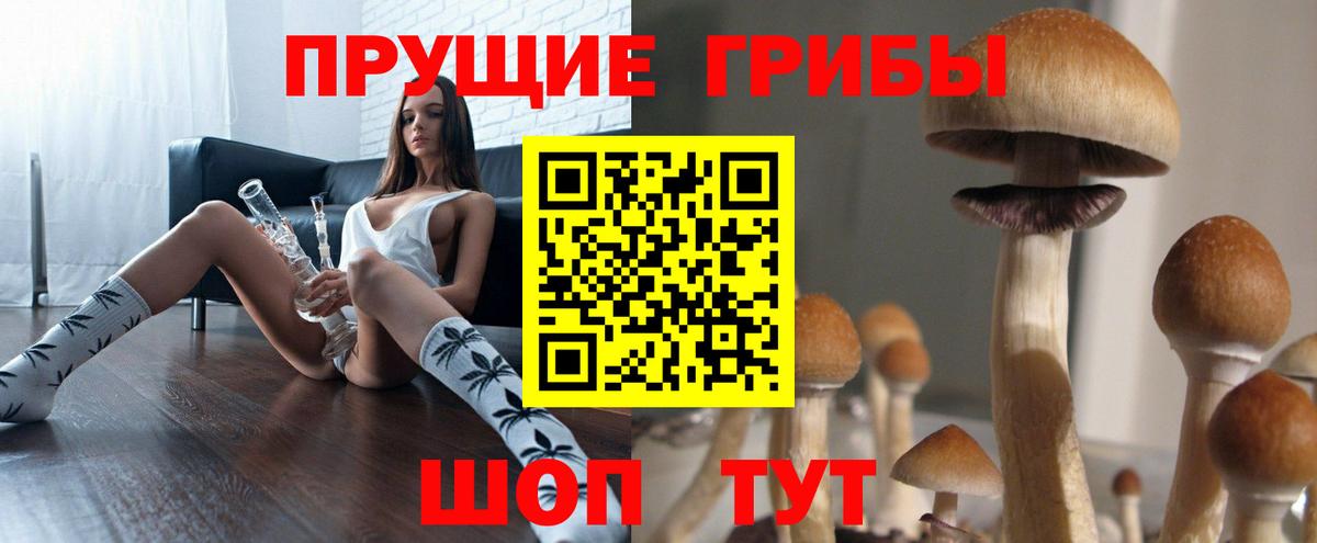 Галлюциногенные грибы прущие грибы  Вход с VPN  Псилоцибиновые грибы Psilocybe  Корсаков 