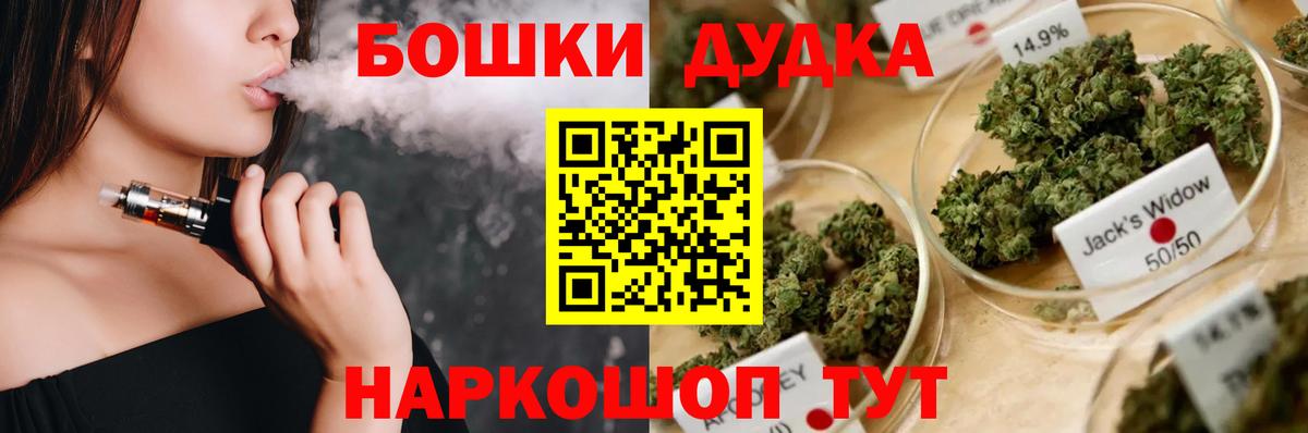 Канабис сатива Корсаков
